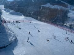 -亚布力新体委滑雪场