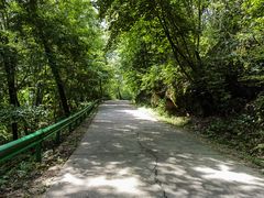 -五女峰国家森林公园