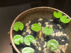 -曲水兰亭(北京四惠店)