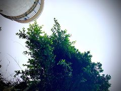 -东望洋炮台东望洋灯塔