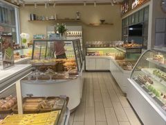 -蒲公英(五里店)