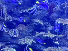 -左海海底世界