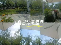 -金鸡湖景区