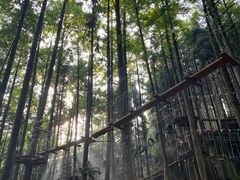 -山王坪喀斯特国家生态公园