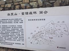 -幽岚山·童话森林