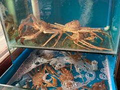 -吉友粥底火锅(方斜路店)