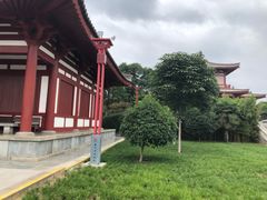 -法门文化景区