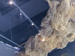 -顶特勒·黄鱼馆·特色菜(上海大世界店)
