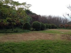 iphone_upload_pic-蠡湖大桥公园