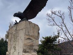 -北京鹫峰国家森林公园