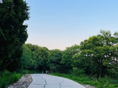 -北京西山国家森林公园