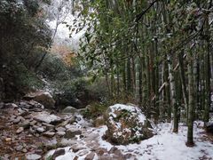 -莫干山风景区