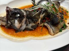 -莆鑫海鲜城(浏河店)