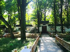 -西湖风景区十里琅珰-五云山