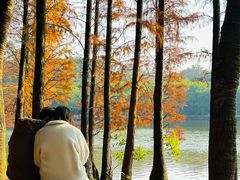 -三水森林公园