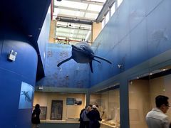 -安徽省地质博物馆