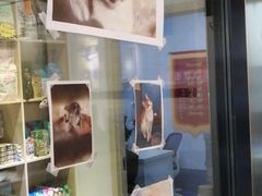 -宠颐生动物医院·心脏科·保险定点(锦阳分院)