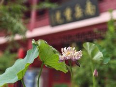 -南岳明心寺