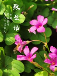 -玄武湖景区-情侣园游乐场