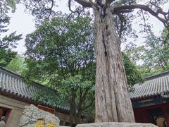 -青岛崂山太清宫
