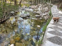 -玉渡山自然风景区