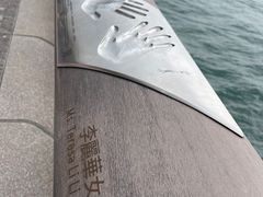 -星光大道