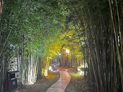 -崇阳三特浪口温泉