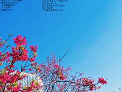 -龙环葡韵住宅式博物馆