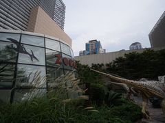 -新世界百货(明洞总店)