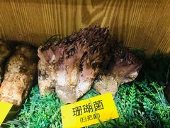 -菌海森林·非遗野生菌火锅(西山区滇池路摩根道店)