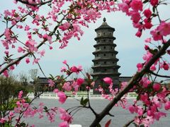 -东台西溪天仙缘景区