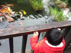 -凤凰山斑鱼馆(恭城店)