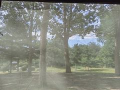 -老四季(南市场店)