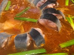 -新凯里酸汤鱼(飞山街店)