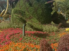 -东平国家森林公园