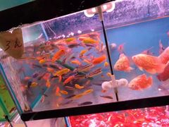 -1点点(文峰广场店)