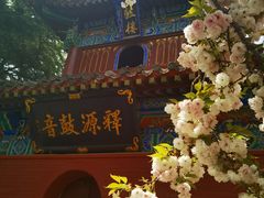 -洛阳白马寺