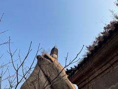 -北京凤凰岭