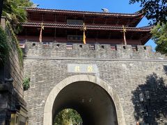 -孙奶奶葱包桧
