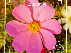 -东丽湖风景区