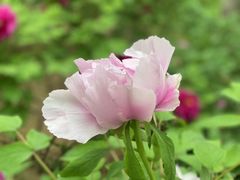 -仁和公园(顺义区)