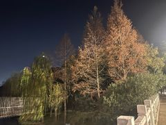 -南翔镇银翔湖公园