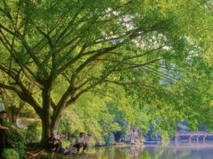 -重庆彩云湖湿地公园