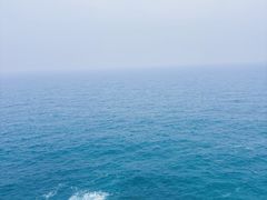 -广东惠东海龟国家级自然保护区