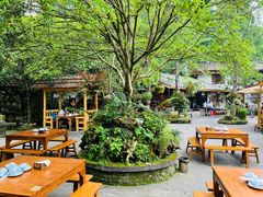 -青城甲(青城山店)