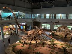 -自贡恐龙博物馆