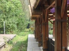 -合肥滨湖国家森林公园