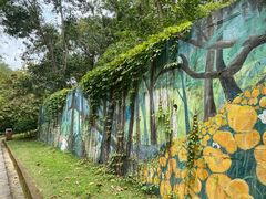 -广州白江湖森林公园