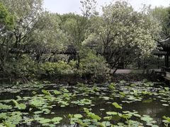 -上海醉白池公园