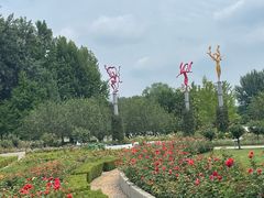 -大望京公园